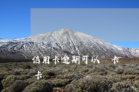 信用卡逾期可以補卡嗎嗎（信用卡逾期可以補卡嗎）
