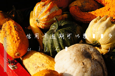 信用卡逾期可以覆蓋嗎(多使用信用卡會(huì)不會(huì)覆蓋了逾期記錄)