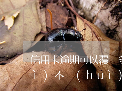 信用卡逾期可以覆蓋(多使用信用卡會(huì)不會(huì)覆蓋了逾期記錄)