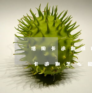 信用卡逾期可以調(diào)解停息(信用卡逾期怎么能停止計(jì)息)