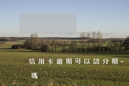 信用卡逾期可以談分期-逾期可以辦理分期嗎