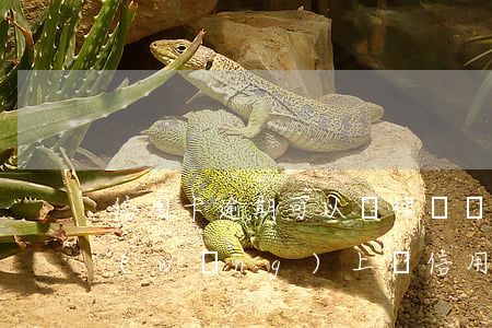 信用卡逾期可以請律師協(xié)商嗎 網(wǎng)上說信用卡逾期有人可以幫忙協(xié)商