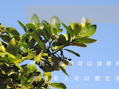 信用卡逾期可以请律师协商吗 网上说信用卡逾期有人可以帮忙协商