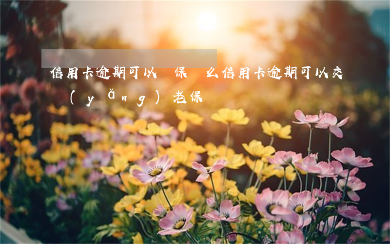 信用卡逾期可以買保險么(信用卡逾期可以交養(yǎng)老保險嗎)