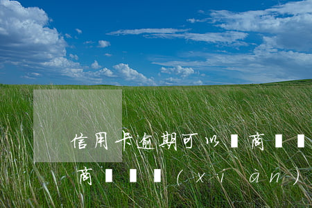 信用卡逾期可以買商鋪嗎(信用卡逾期可以買商鋪嗎現(xiàn)在)