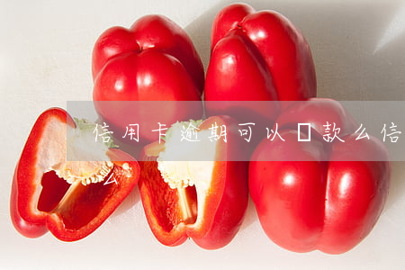 信用卡逾期可以貸款么(信用卡逾期可以貸款么)
