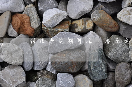 信用卡逾期可以賣房子(逾期可以賣房子嗎)