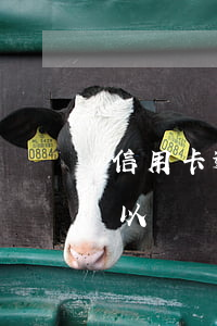 信用卡逾期可以賣貸款房嗎(房子貸款逾期可以賣嗎)