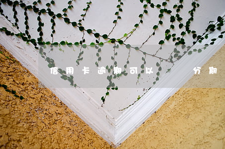 信用卡逾期可以賬單分期嗎