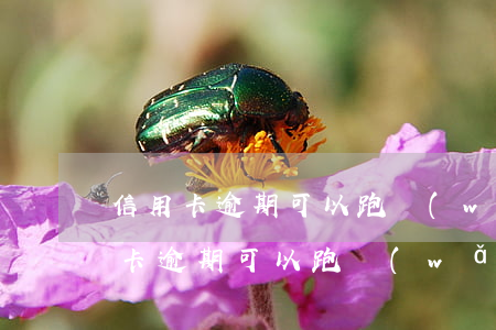 信用卡逾期可以跑網(wǎng)約車(信用卡逾期可以跑網(wǎng)約車)