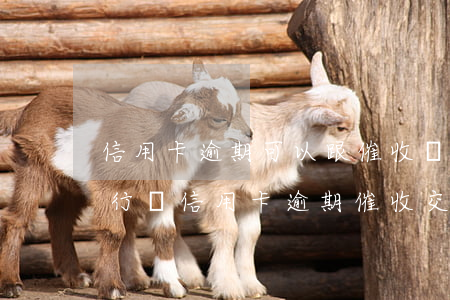 信用卡逾期可以跟催收協(xié)商嗎(銀行將信用卡逾期催收交給律師事務(wù)所)