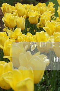 信用卡逾期可以跟銀行申請(qǐng)嗎-逾期了能不能辦信用卡