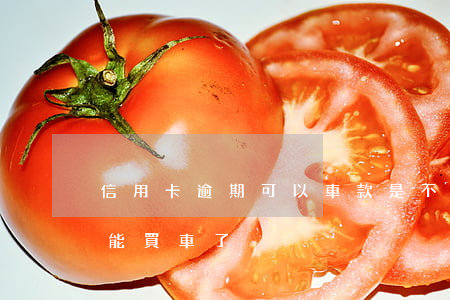 信用卡逾期可以車款(是不是信用卡逾期就不能買車了)