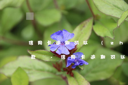 信用卡逾期可以轉(zhuǎn)公積金貸款嗎-信用卡逾期可以轉(zhuǎn)公積金貸款嗎
