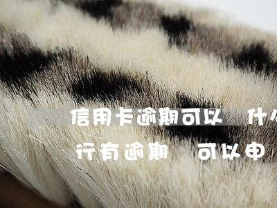 信用卡逾期可以辦什么借款(哪個(gè)銀行有逾期還可以申請(qǐng)信用卡)