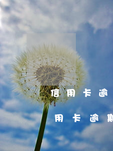 信用卡逾期可以辦停息掛賬嗎(什么情況下信用卡逾期可以停息掛賬)