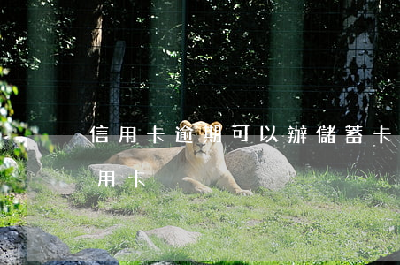 信用卡逾期可以辦儲蓄卡(銀行有逾期能辦信用卡)