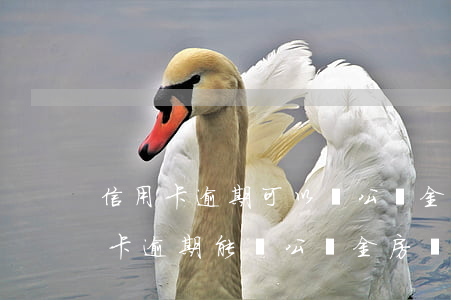 信用卡逾期可以辦公積金卡嗎-有一次信用卡逾期能辦公積金房貸嗎