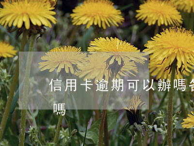 信用卡逾期可以辦嗎 各種逾期可以辦信用卡嗎