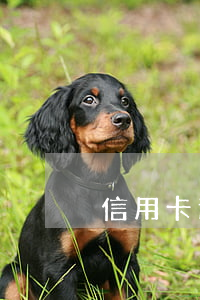 信用卡逾期可以辦寬帶嗎