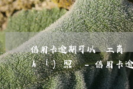 信用卡逾期可以辦工商營業(yè)執(zhí)照嗎-信用卡逾期可以辦工商營業(yè)執(zhí)照嗎