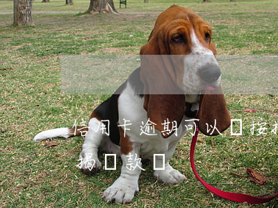 信用卡逾期可以辦按揭(信用卡逾期可以辦按揭貸款嗎)