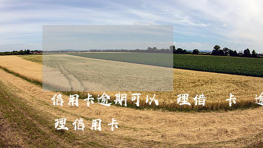 信用卡逾期可以辦理借記卡嗎(逾期還可以辦理信用卡嗎)