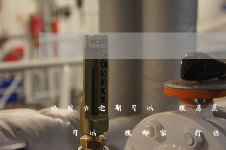 信用卡逾期可以辦理房屋分期嗎(分期樂逾期還可以辦理哪家銀行信用卡)