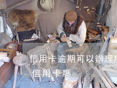 信用卡逾期可以辦理房照嗎(房貸有逾期能辦信用卡嗎)