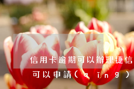 信用卡逾期可以辦理捷信分期嗎(有捷信分期可以申請(qǐng)信用卡嗎)