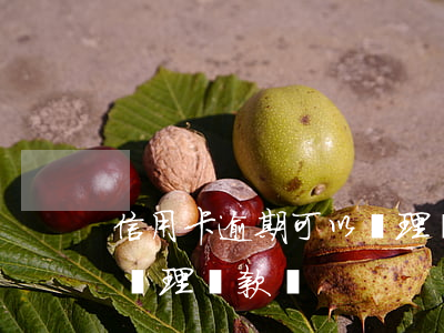 信用卡逾期可以辦理貸款嗎(信用卡逾期可以辦理貸款嗎)