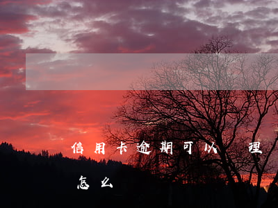 信用卡逾期可以辦理車貸(有車貸信用卡逾期怎么辦)