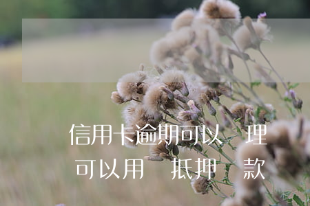 信用卡逾期可以辦理車輛抵押 有信用卡逾期,可以用車抵押貸款嗎?