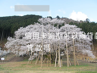信用卡逾期可以辦貸款嗎(信用卡逾期可以辦貸款嗎?)