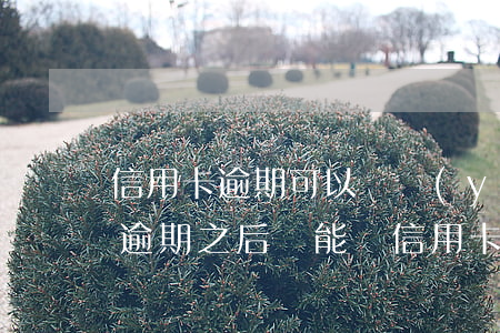 信用卡逾期可以辦養(yǎng)老保險嗎(逾期之后還能辦信用卡嗎)