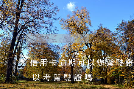 信用卡逾期可以辦駕駛證嗎(欠信用卡不還可以考駕駛證嗎)