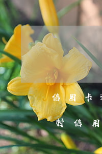信用卡逾期可以通知村委嗎(農(nóng)村信用社信用卡逾期)