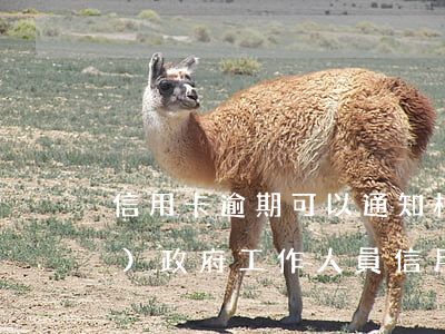 信用卡逾期可以通知村委會么(鎮(zhèn)政府工作人員信用卡逾期)