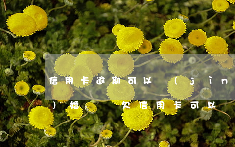信用卡逾期可以進(jìn)去結(jié)婚證嗎(欠信用卡可以辦結(jié)婚證嗎)