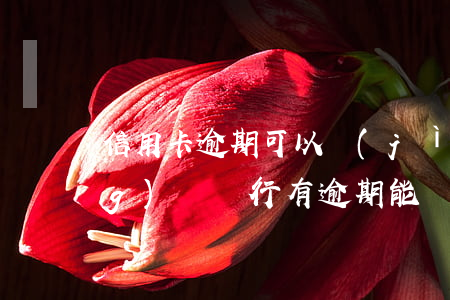 信用卡逾期可以進(jìn)場(chǎng)嗎(銀行有逾期能辦信用卡)