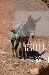 信用卡逾期可以過海關(guān)嗎(信用卡逾期能過安檢么)