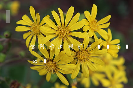 信用卡逾期可以還幾百嗎 有信用卡逾期幾年的嗎
