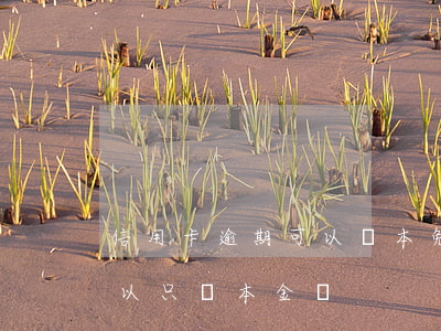 信用卡逾期可以還本免息嗎(信用卡逾期了可以只還本金嗎)