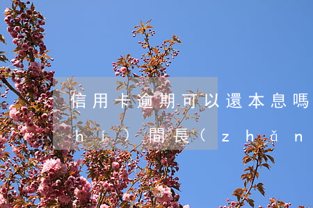 信用卡逾期可以還本息嗎(信用卡逾期時(shí)間長(zhǎng)了可以光還本金嗎)