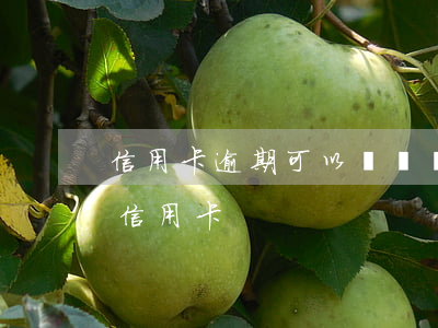 信用卡逾期可以還錢嗎-逾期后還可以辦理信用卡
