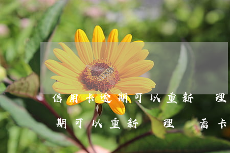 信用卡逾期可以重新辦理儲蓄卡-信用卡逾期可以重新辦理儲蓄卡嗎