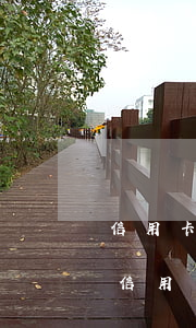 信用卡逾期可以銀行入職嗎(正在逾期可以辦信用卡嗎)
