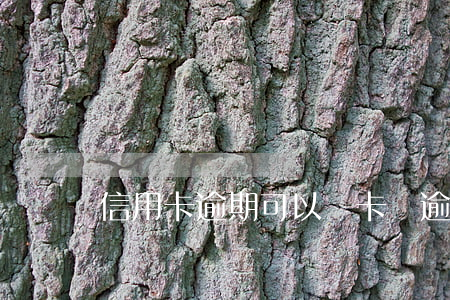 信用卡逾期可以鎖卡嗎(逾期的信用卡還能刷嗎)