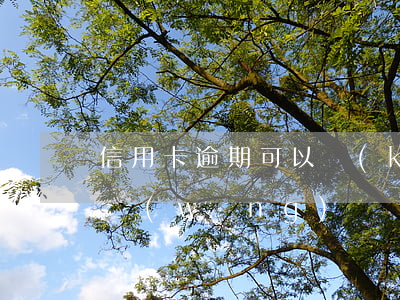 信用卡逾期可以開(kāi)注冊(cè)網(wǎng)約車(chē)嗎(注冊(cè)網(wǎng)約車(chē)違法嗎)
