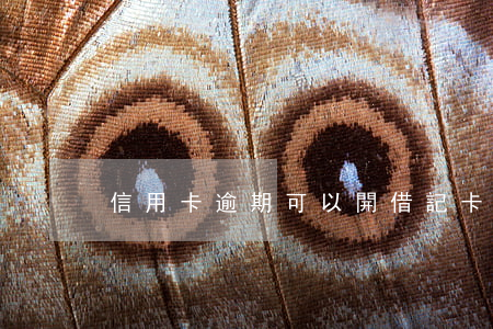 信用卡逾期可以開借記卡嗎